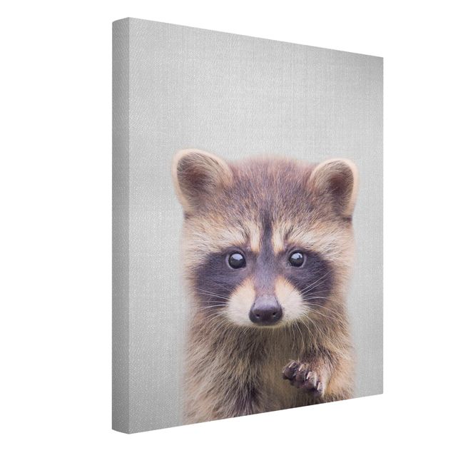 Obrazy nowoczesne Baby Raccoon Wicky