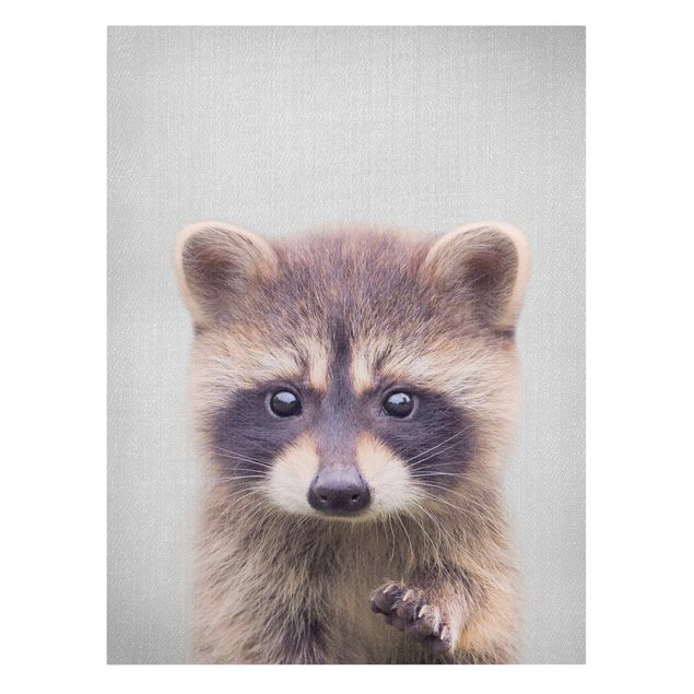 Obrazy zwierzęta Baby Raccoon Wicky