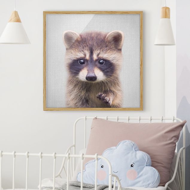 Obraz misia Baby Raccoon Wicky