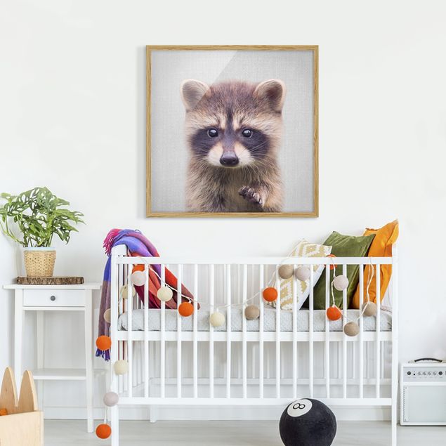 Obrazy w ramie dla dzieci Baby Raccoon Wicky