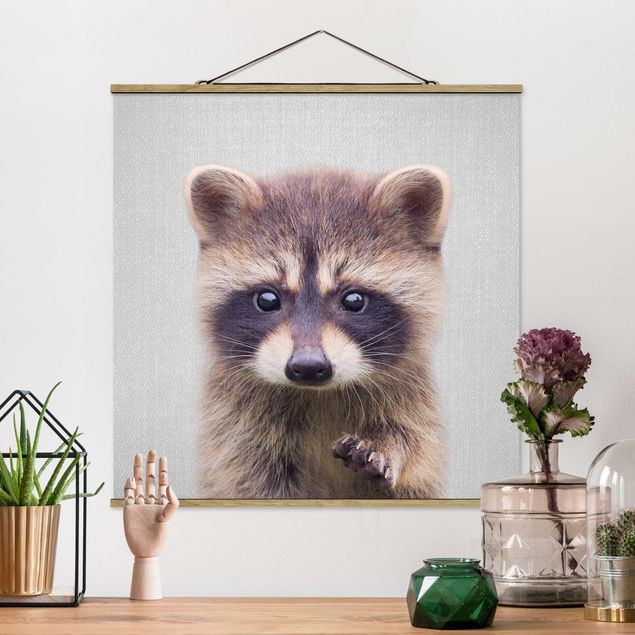 Obraz misia Baby Raccoon Wicky