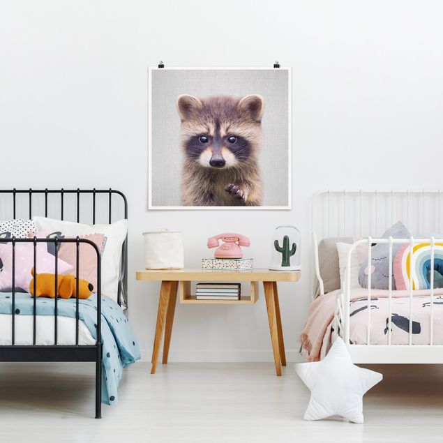 Nowoczesne obrazy do salonu Baby Raccoon Wicky