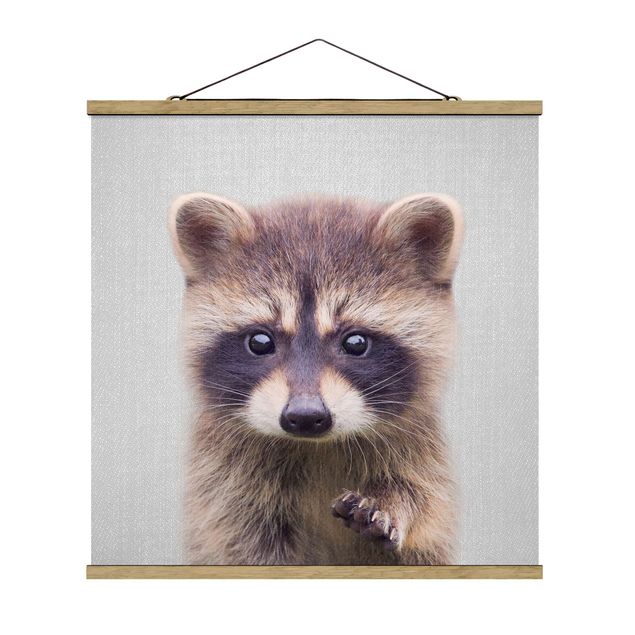 Obrazy nowoczesny Baby Raccoon Wicky