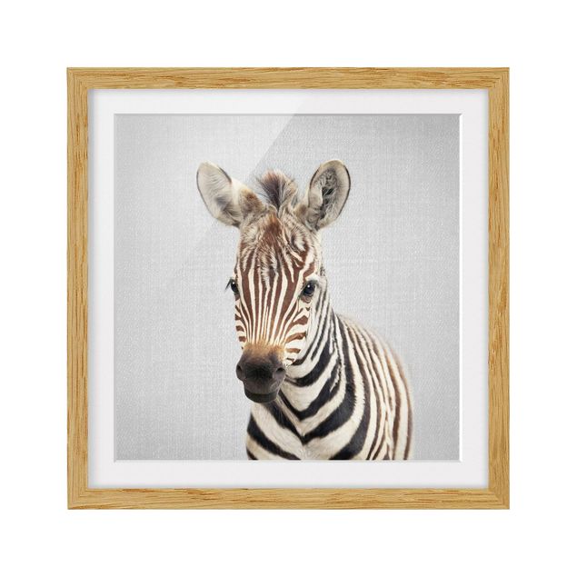Obrazy w ramie zwierzęta Baby Zebra Zoey