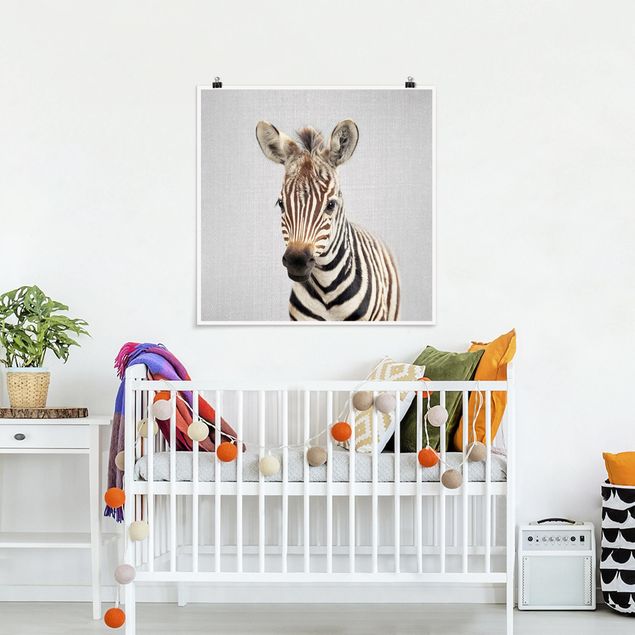 Obrazy do salonu nowoczesne Baby Zebra Zoey