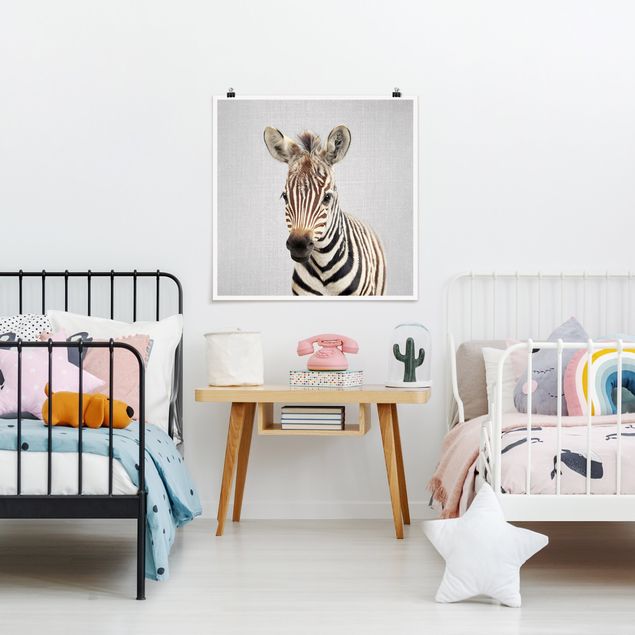 Nowoczesne obrazy Baby Zebra Zoey