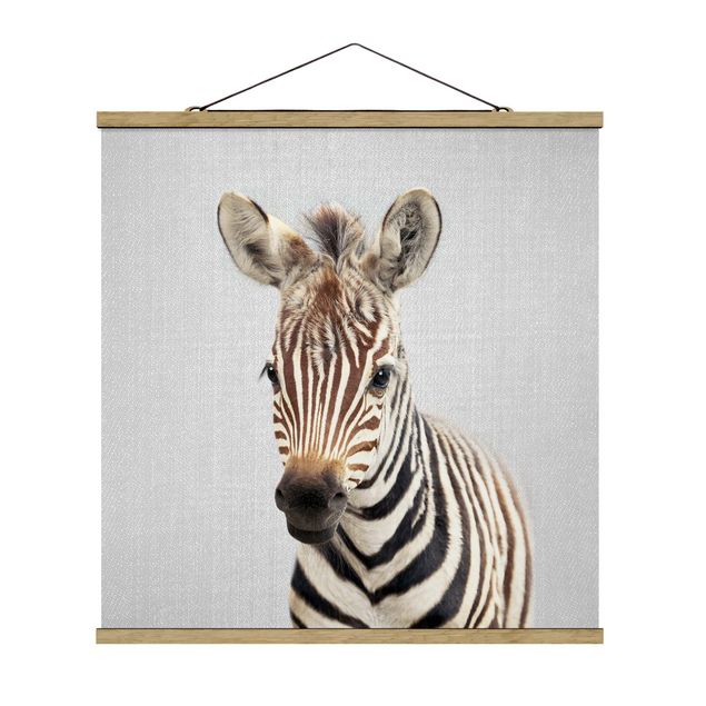 Obrazy zwierzęta Baby Zebra Zoey