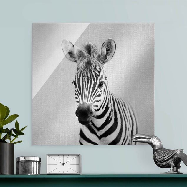 Obrazy na szkle kwadrat Baby Zebra Zoey Black And White