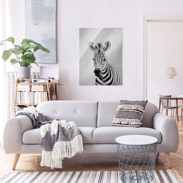 Obrazy zebra Baby Zebra Zoey Black And White