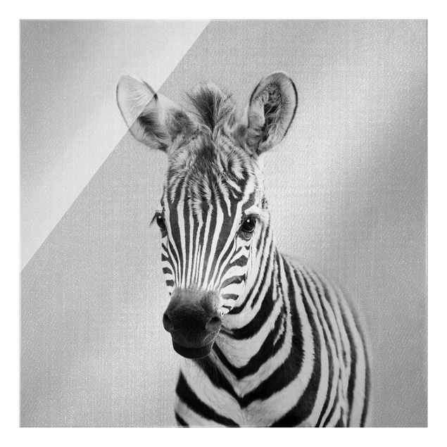 Obrazy na szkle zwierzęta Baby Zebra Zoey Black And White