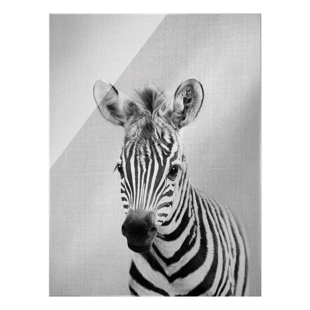Obrazy na szkle zwierzęta Baby Zebra Zoey Black And White