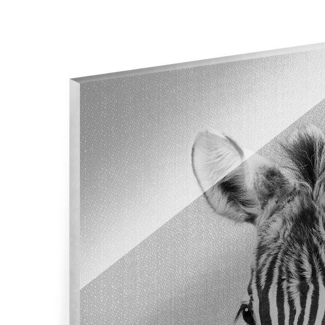 Obrazy nowoczesny Baby Zebra Zoey Black And White