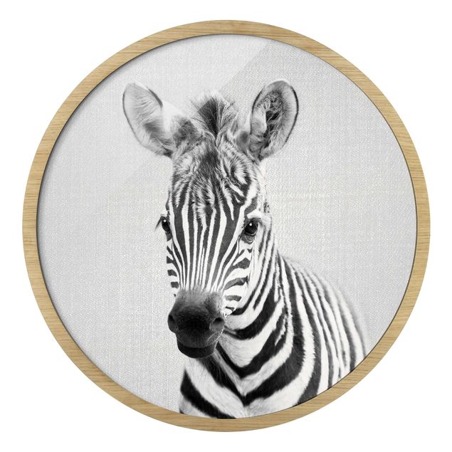 Zebra obraz Mała zebra Zoey czarno-biały