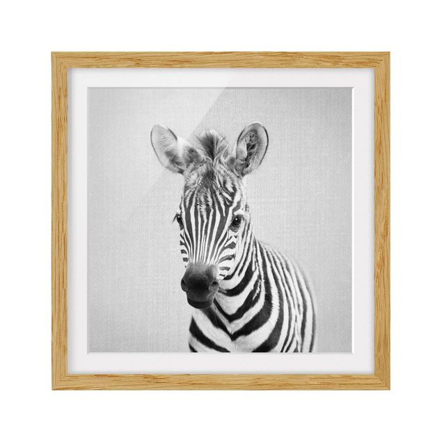 Obrazy w ramie zwierzęta Baby Zebra Zoey Black And White