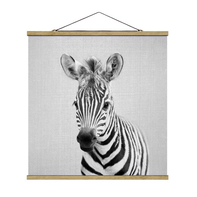 Obrazy ze zwierzętami Baby Zebra Zoey Black And White