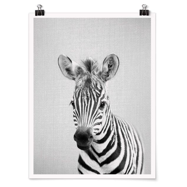 Obrazy ze zwierzętami Baby Zebra Zoey Black And White