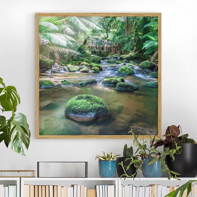 Obrazy w ramie krajobraz Potok w dżungli