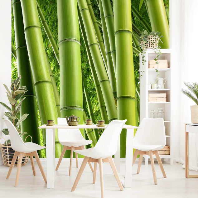 Zielona tapeta Drzewa bambusowe