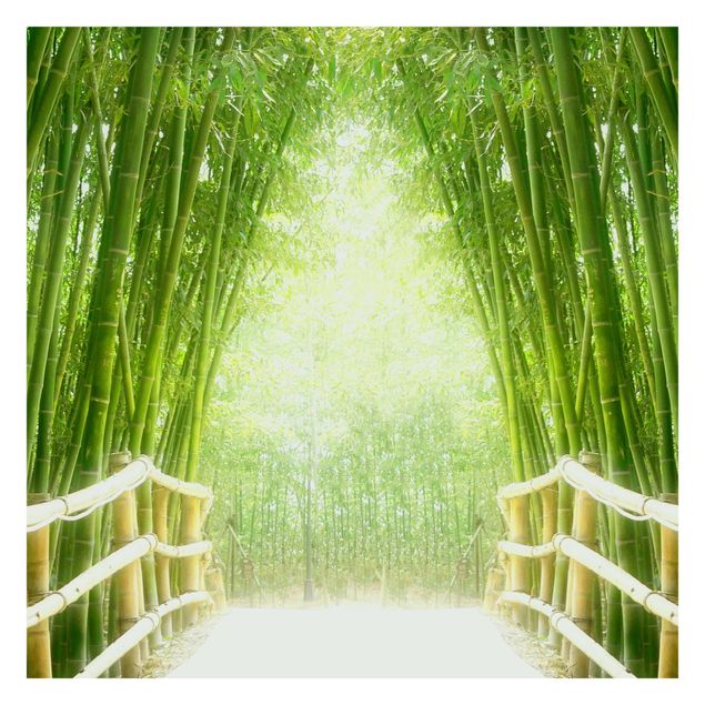 Fototapeta - Droga bambusowa