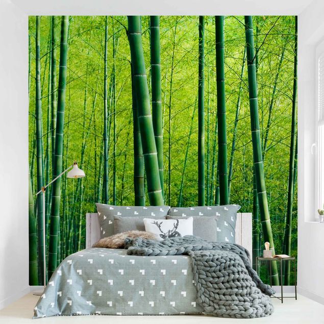 Zielona tapeta Las bambusowy