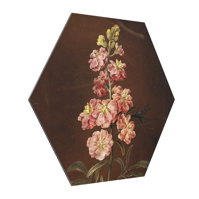 Obrazy motywy kwiatowe Barbara Regina Dietzsch - A Light Pink Gillyflower