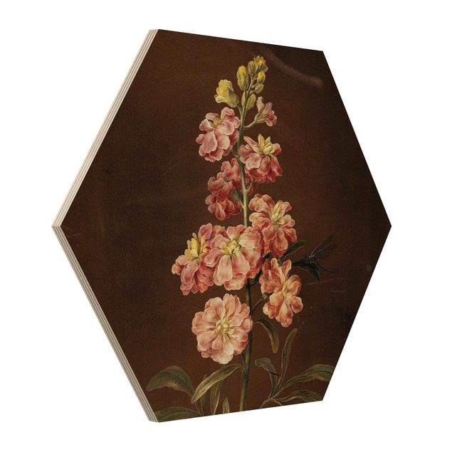 Obrazy kwiatowe Barbara Regina Dietzsch - A Light Pink Gillyflower