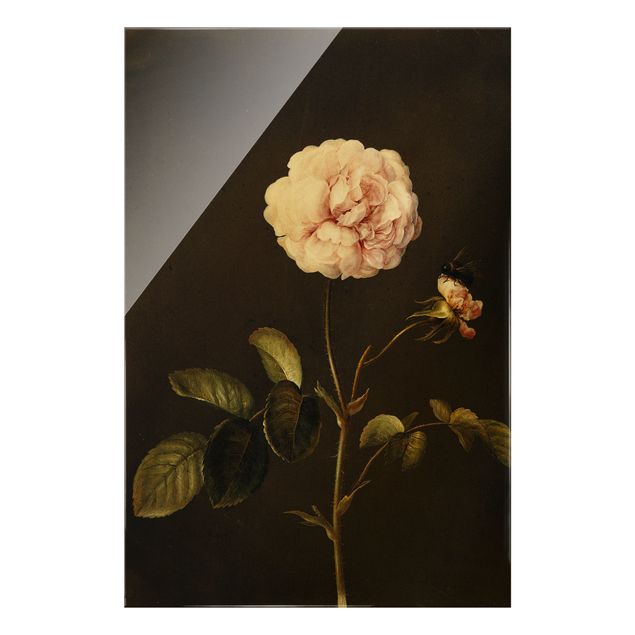 Nowoczesne obrazy do salonu Barbara Regina Dietzsch - Róża octowa z trzmielem