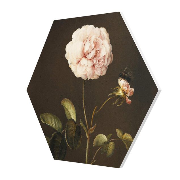 Obrazy na ścianę Barbara Regina Dietzsch - French Rose with Bumblebee