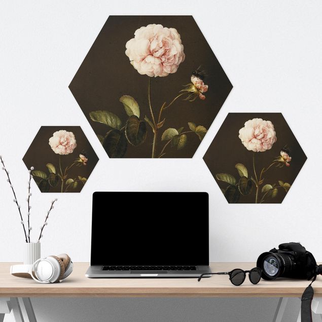 Obraz heksagonalny Forex - Barbara Regina Dietzsch - French Rose with Bumblebee