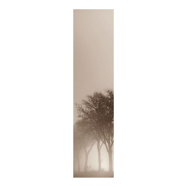 Tekstylia domowe Aleja drzew w porannej mgle