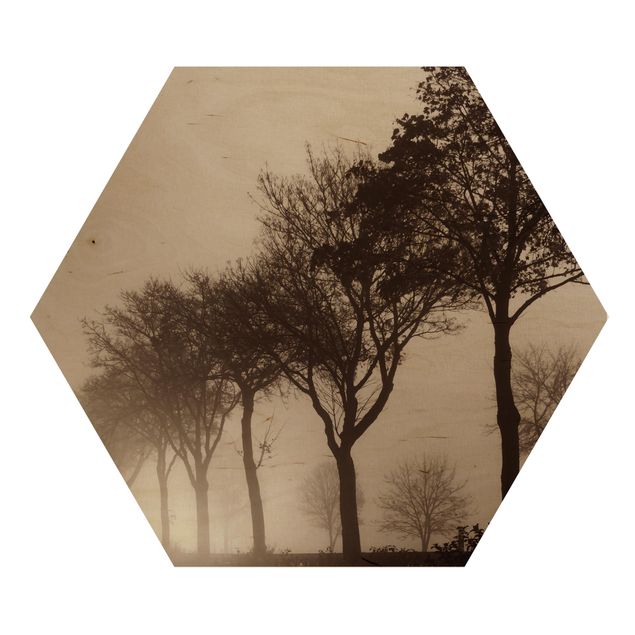 Obrazy krajobraz Aleja drzew w porannej mgle
