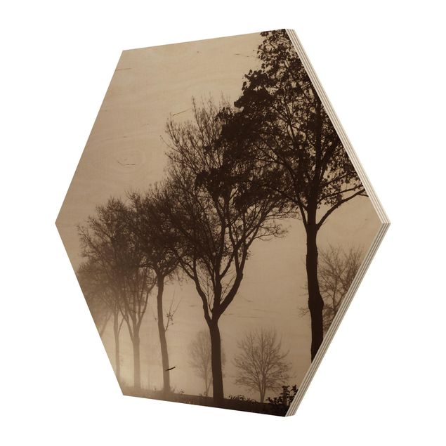 Obraz brązowy Aleja drzew w porannej mgle