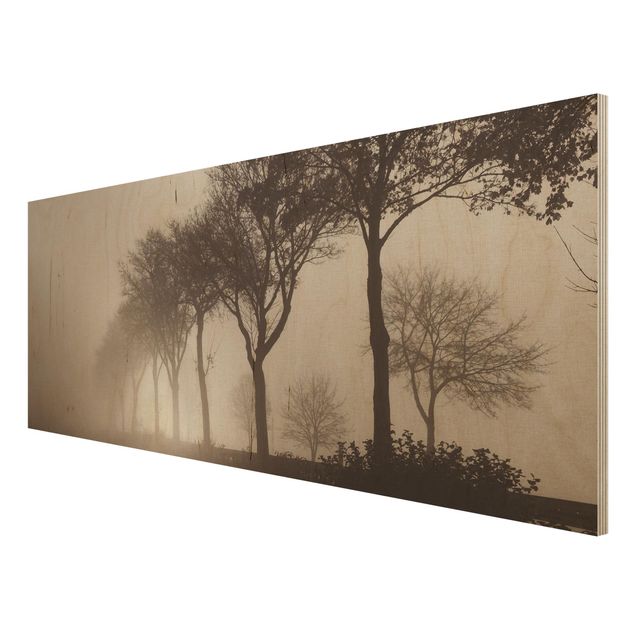Obrazy z drewna Aleja drzew w porannej mgle