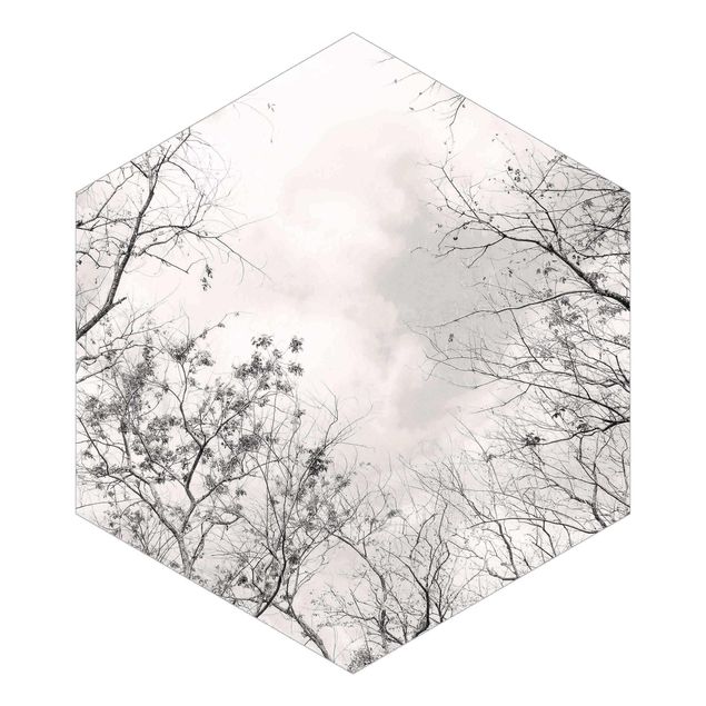 Fototapeta samoprzylepna heksagon - Treetops In The Sky In Warm Grey