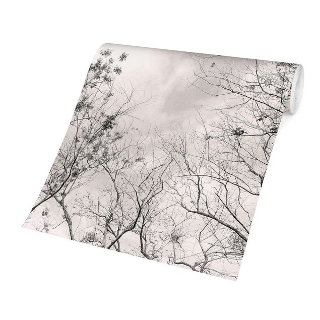Fototapety Treetops In The Sky In Warm Grey