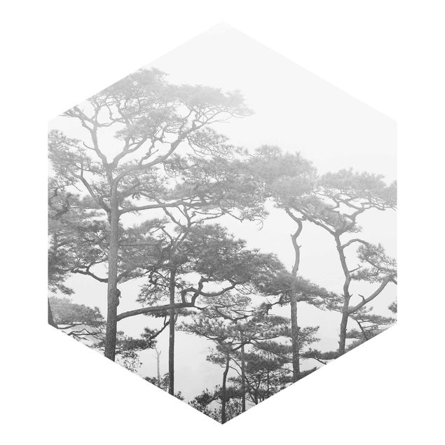 Sześciokątna tapeta samoprzylepna - Trzy wierzchołki drzew we mgle czarno-biały