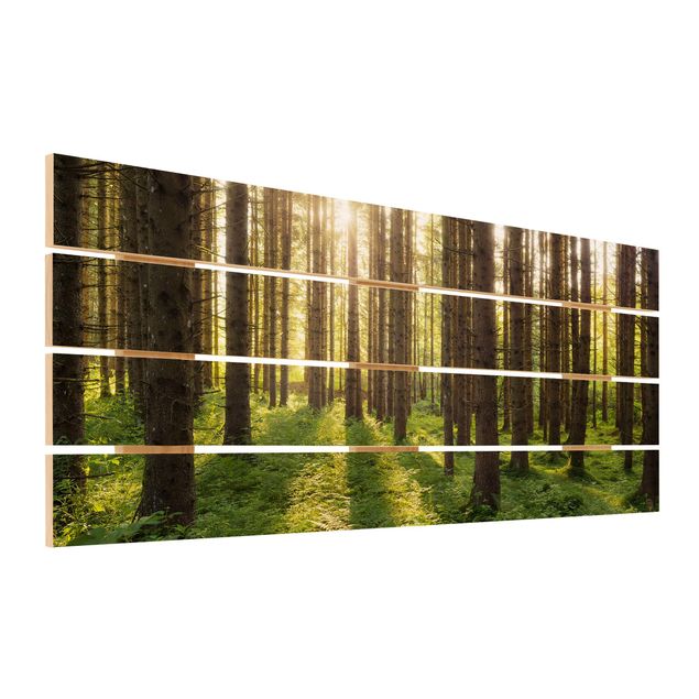 Obraz z drewna - Promienie słońca w zielonym lesie