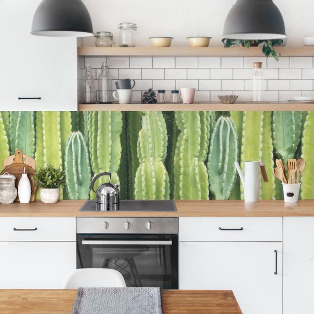 Panel szklany do kuchni Ściana kaktusów