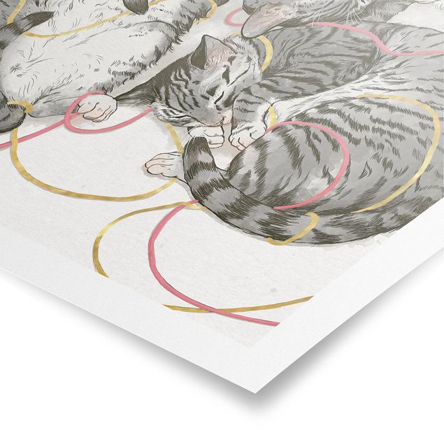 Obrazy zwierzęta Ilustracja szarych kotów Malarstwo