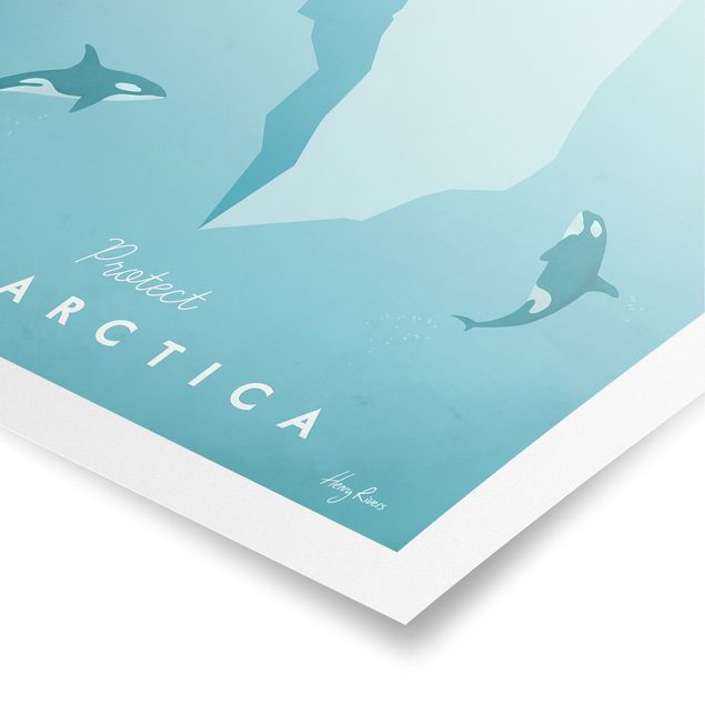 Obrazy ze zwierzętami Plakat podróżniczy - Antarktyda