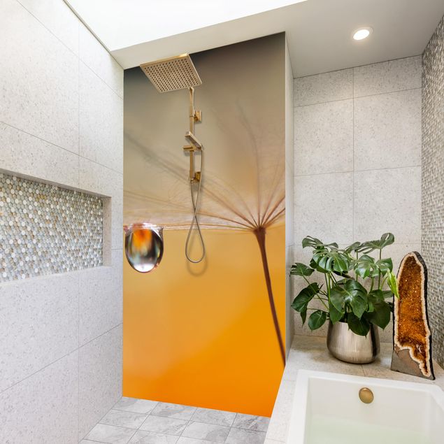 Tylna ścianka prysznicowa - Dandelion In Orange