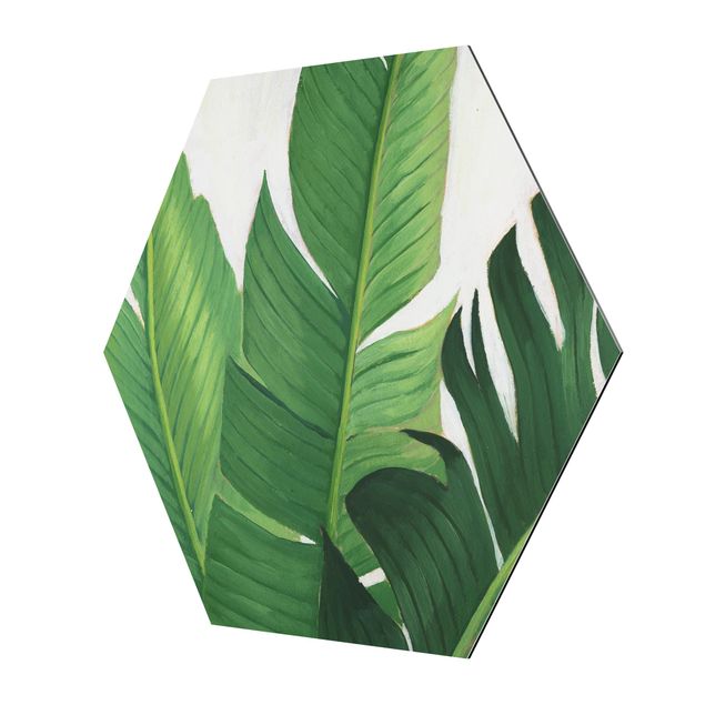 Obraz heksagonalny z Alu-Dibond - Ulubione rośliny - Banan