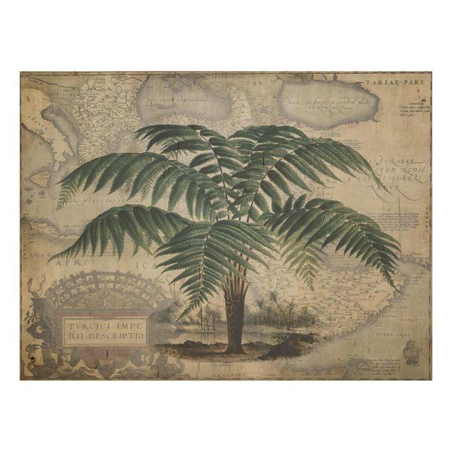 Andrea Haase obrazy  Kolaż w stylu vintage - drzewo palmowe i mapa świata