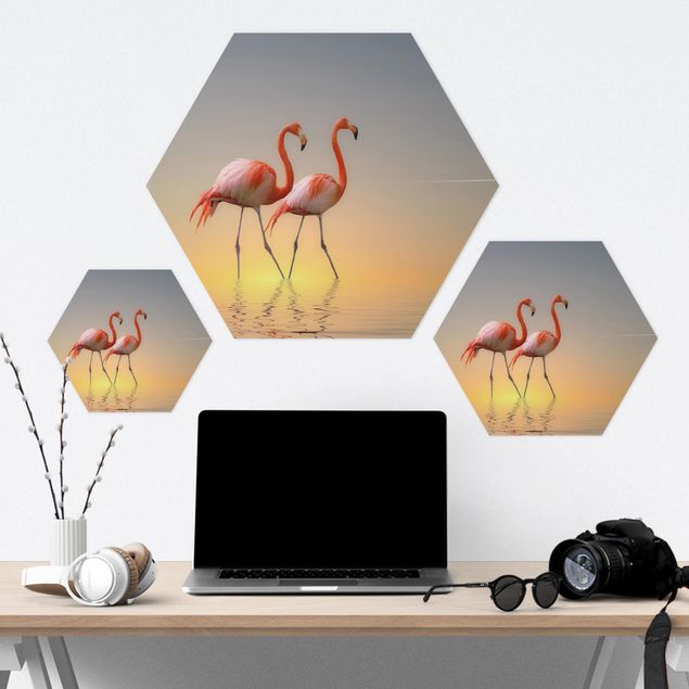 Obraz heksagonalny z Alu-Dibond - Miłość flaminga