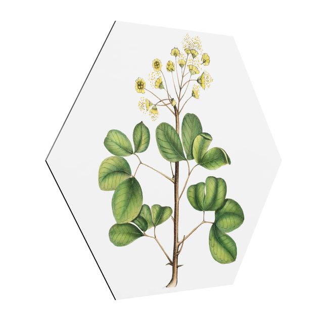 Obraz heksagonalny z Alu-Dibond - Liście z kwiatami IV