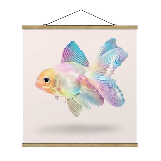 Obrazy zwierzęta Ryby w pastelach