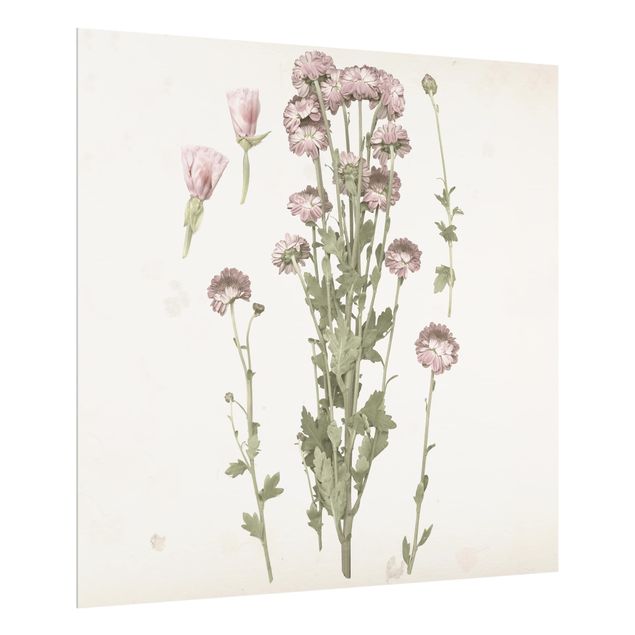 Panel szklany do kuchni - Herbarium w kolorze różowym I