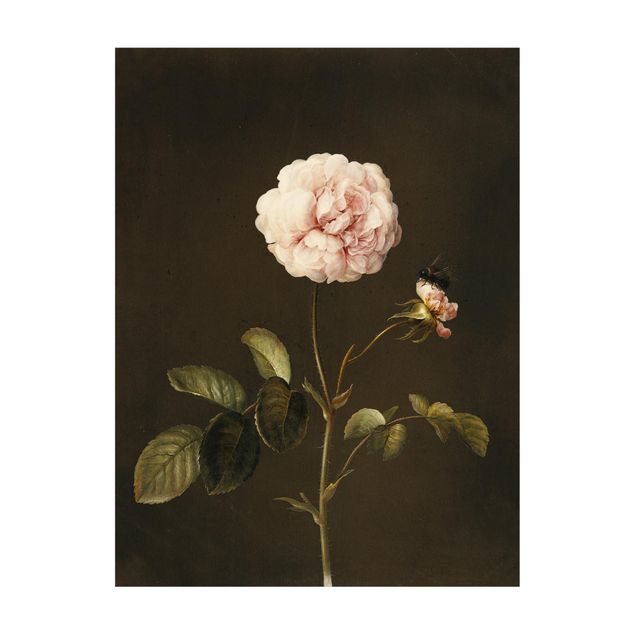 dywan kwiatowy Barbara Regina Dietzsch - Róża octowa z trzmielem