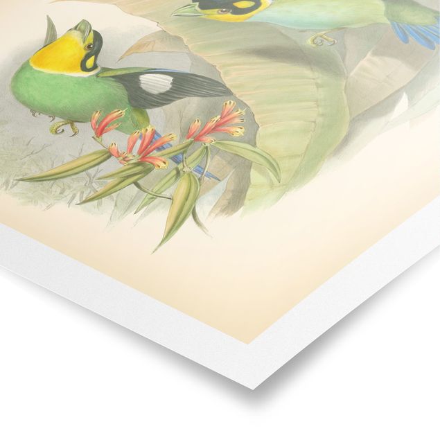 Obrazy retro Ilustracja w stylu vintage - ptaki tropikalne