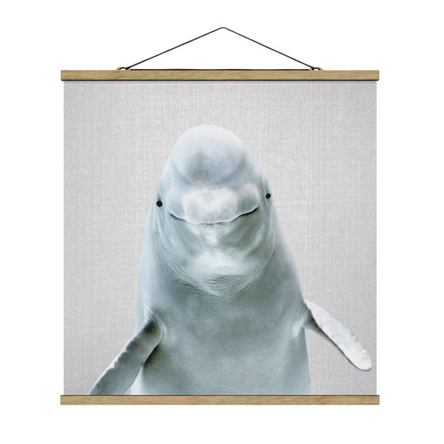Obrazy zwierzęta Beluga Whale Bob
